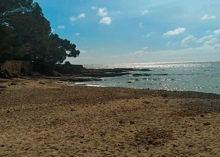 فيلة Superbe Acces Direct *